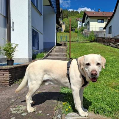 Charlie